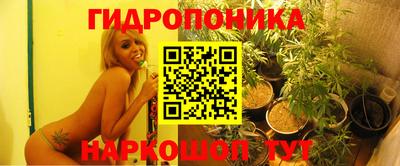 a pvp Краснодар
