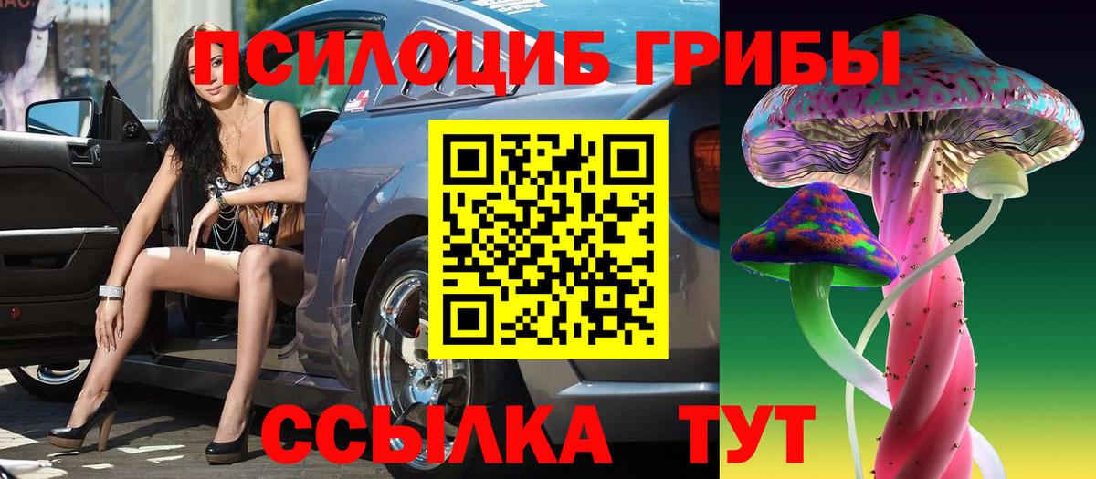 Псилоцибиновые грибы Psilocybine cubensis Жуковский